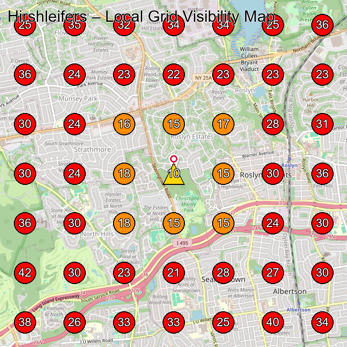 Hirshleifers GeoGrid visibility map for Clothing Store in Manhasset
